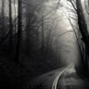 Meet your Posher, Mollie